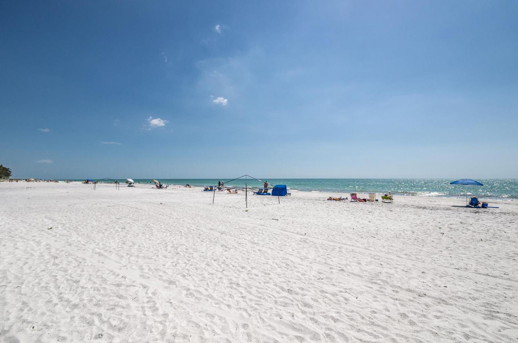 The Rose Aparthotel Clearwater Beach Eksteriør bilde